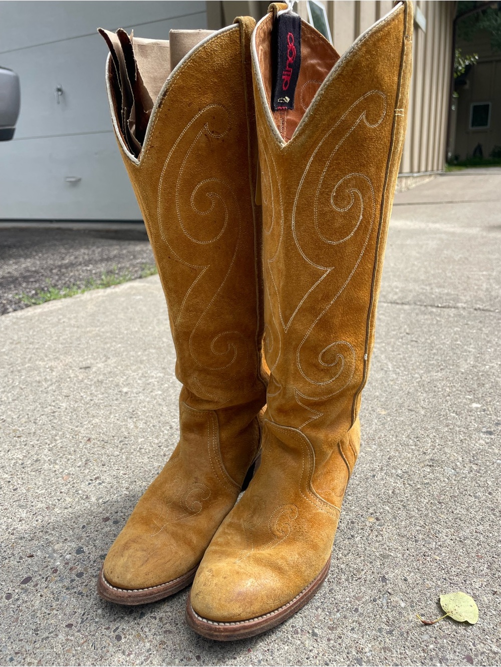 dingo Women's Over-the-Knee Suede Western Boots - Tan